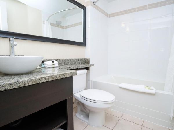 Sandman Hotel & Suites Calgary West : photo 6 de la chambre loft suite, 1 king bed, sofa bed, kitchenette