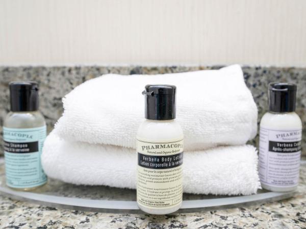 Sandman Hotel & Suites Calgary West : photo 5 de la chambre chambre standard 1 lit king-size