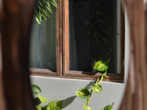 Hostal Doña Lucha : photo 6 de la chambre lit simple dans dortoir mixte