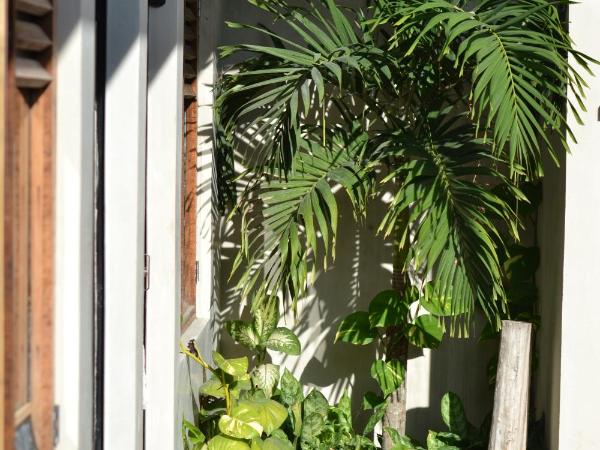 Hostal Doña Lucha : photo 2 de la chambre chambre double standard avec salle de bains commune