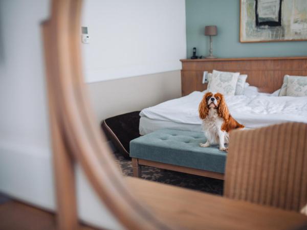 Art Hotel : photo 7 de la chambre suite junior