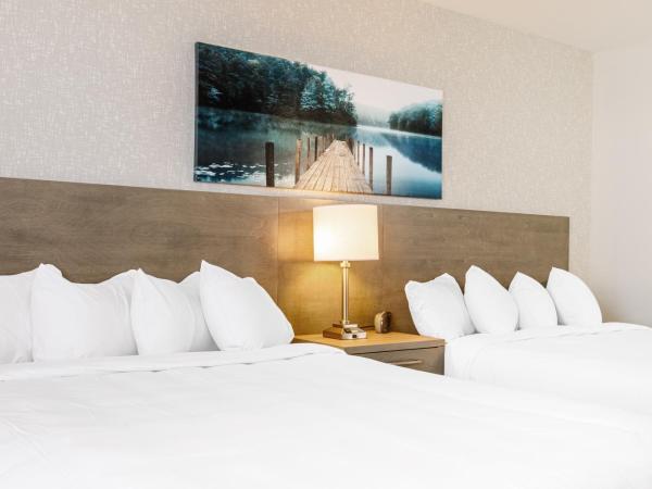 Repotel Henri IV Québec : photo 1 de la chambre chambre deluxe avec 2 lits queen-size