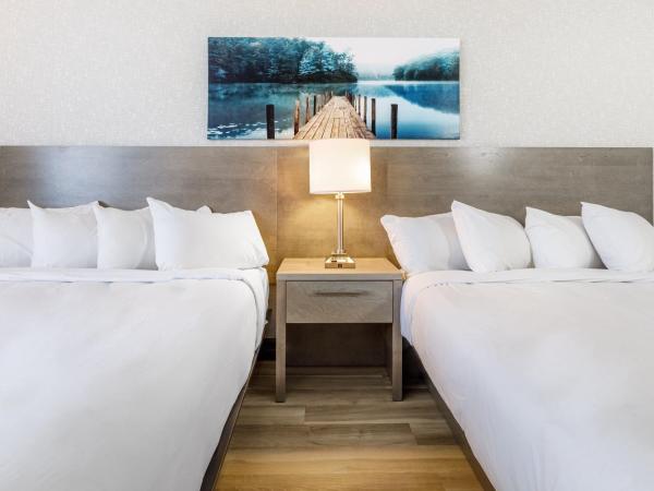 Repotel Henri IV Québec : photo 5 de la chambre chambre deluxe avec 2 lits queen-size