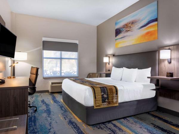 La Quinta by Wyndham Tampa Central : photo 6 de la chambre chambre lit king-size - accessible aux personnes à mobilité réduite - non-fumeurs 