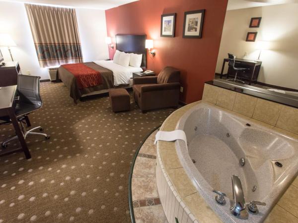 Comfort Inn : photo 4 de la chambre chambre affaires - non-fumeurs