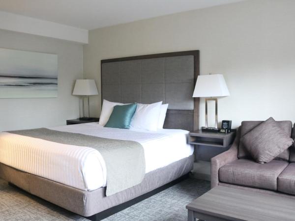 Best Western Plus Sands : photo 8 de la chambre chambre lit king-size avec canapé-lit - non-fumeurs