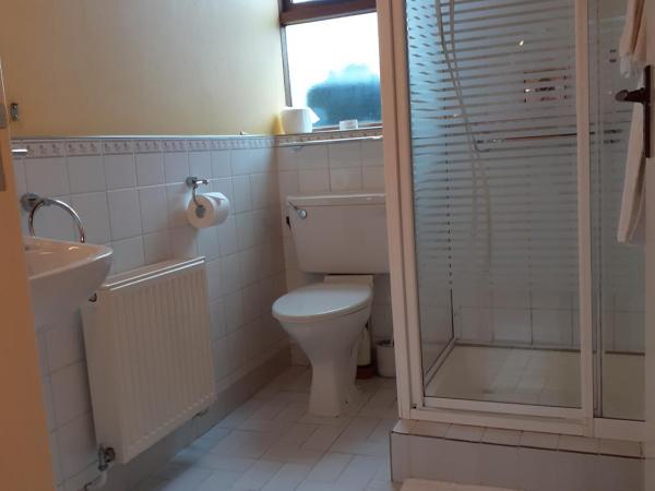 Kilbree House B&B : photo 3 de la chambre offre spéciale - chambre double