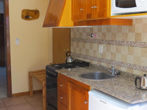 Apart Altos Del Nahuel : photo 6 de la chambre ce studio jouit d'une vue partielle sur le lac.