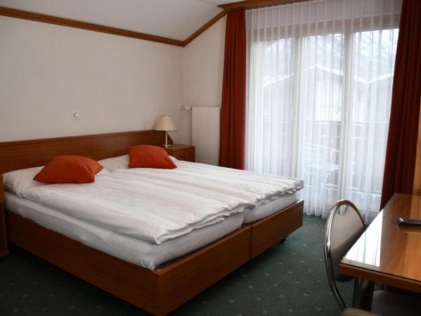 Hotel Elite : photo 2 de la chambre chambre double avec baignoire spa - vue sur cervin