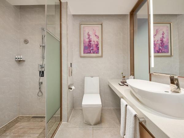 Lavande Hotel Baiyun International Airport Branch : photo 1 de la chambre  chambre double