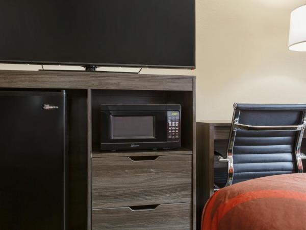 Super 8 by Wyndham San Antonio Airport North : photo 3 de la chambre chambre lit king-size - non-fumeurs