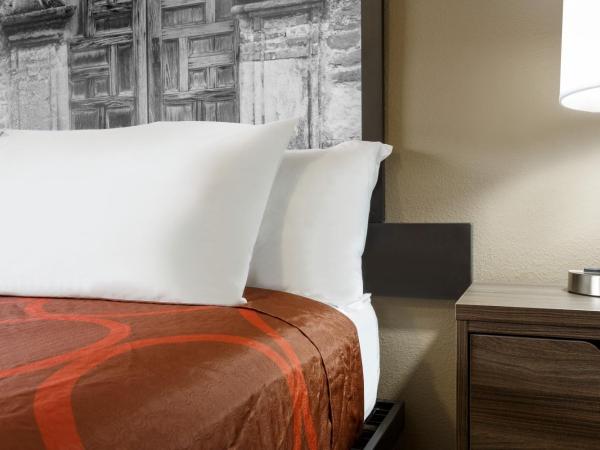 Super 8 by Wyndham San Antonio Airport North : photo 2 de la chambre chambre lit king-size - non-fumeurs