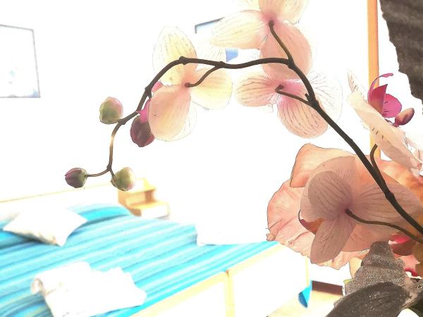 Hotel Alcazar : photo 1 de la chambre chambre double ou lits jumeaux