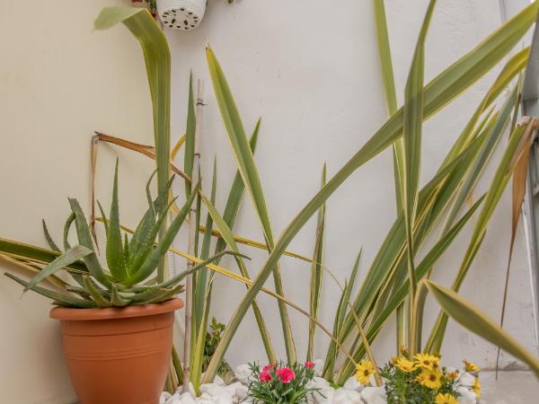 The 3 Brothers' Apts : photo 4 de la chambre studio lit king-size avec canapé-lit