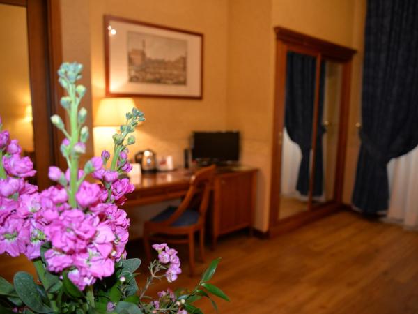 Strozzi Palace Hotel : photo 4 de la chambre chambre simple avec salle de bains 