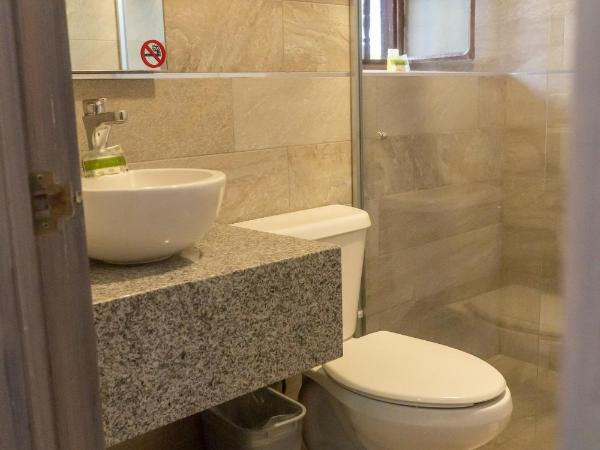 Hotel Hidalgo : photo 2 de la chambre chambre lits jumeaux standard