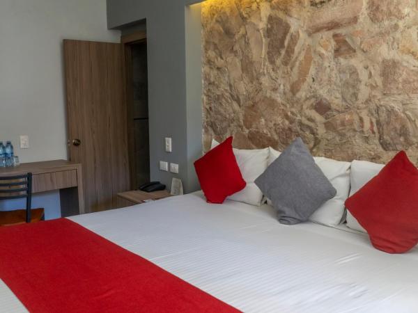 Hotel Hidalgo : photo 3 de la chambre chambre lit king-size