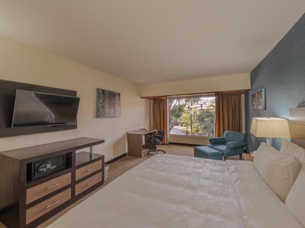 Holiday Inn Guadalajara Expo Plaza del Sol, an IHG Hotel : photo 5 de la chambre chambre king avec vue sur le jardin - non-fumeurs