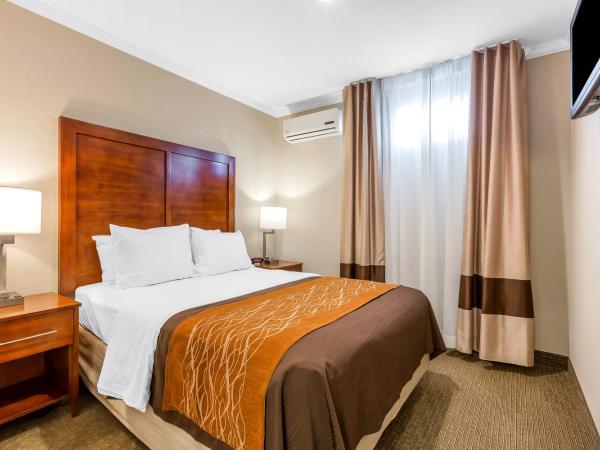 Comfort Inn Santa Monica - West Los Angeles : photo 1 de la chambre chambre familiale avec lit king-size, lit queen-size et canapé-lit - non-fumeurs