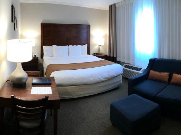 Comfort Inn Santa Monica - West Los Angeles : photo 2 de la chambre chambre familiale avec lit king-size, lit queen-size et canapé-lit - non-fumeurs