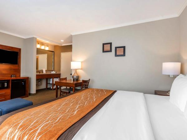 Comfort Inn Santa Monica - West Los Angeles : photo 4 de la chambre chambre familiale avec lit king-size, lit queen-size et canapé-lit - non-fumeurs