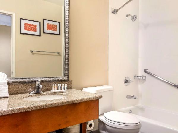 Comfort Inn Santa Monica - West Los Angeles : photo 3 de la chambre chambre standard avec lit king-size et lit queen-size - non-fumeurs