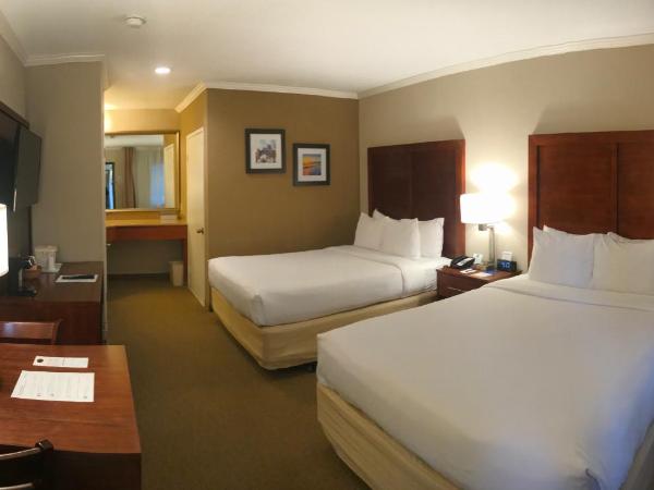 Comfort Inn Santa Monica - West Los Angeles : photo 2 de la chambre chambre standard 2 lits queen-size - non-fumeurs