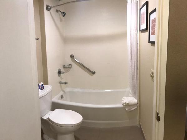 Comfort Inn Santa Monica - West Los Angeles : photo 3 de la chambre chambre standard 2 lits queen-size - non-fumeurs