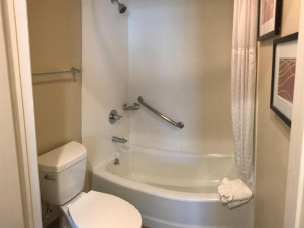 Comfort Inn Santa Monica - West Los Angeles : photo 1 de la chambre chambre familiale avec 2 lits queen-size et canapé-lit - non-fumeurs