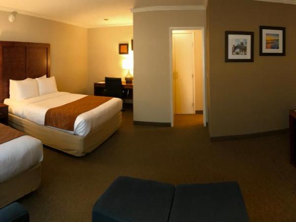 Comfort Inn Santa Monica - West Los Angeles : photo 3 de la chambre chambre familiale avec 2 lits queen-size et canapé-lit - non-fumeurs