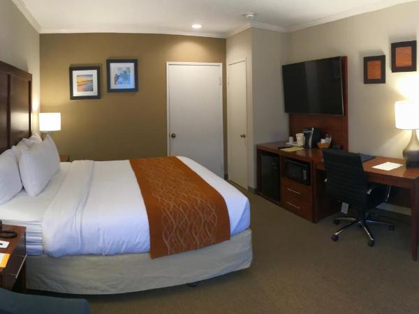Comfort Inn Santa Monica - West Los Angeles : photo 5 de la chambre chambre lit king-size standard avec canapé-lit - non-fumeurs
