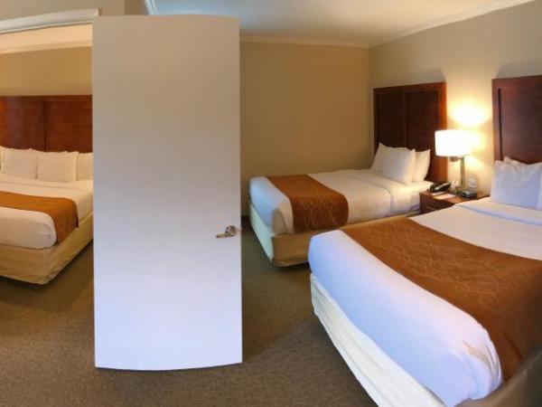 Comfort Inn Santa Monica - West Los Angeles : photo 2 de la chambre chambre familiale avec 1 lit king-size et 2 lits queen-size - non-fumeurs