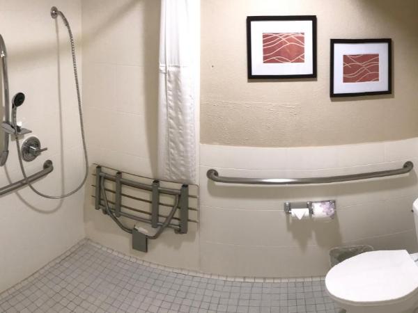 Comfort Inn Santa Monica - West Los Angeles : photo 1 de la chambre chambre standard avec lit queen-size et douche accessible en fauteuil roulant - vue sur cour