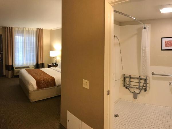 Comfort Inn Santa Monica - West Los Angeles : photo 2 de la chambre chambre standard avec lit queen-size et douche accessible en fauteuil roulant - vue sur cour