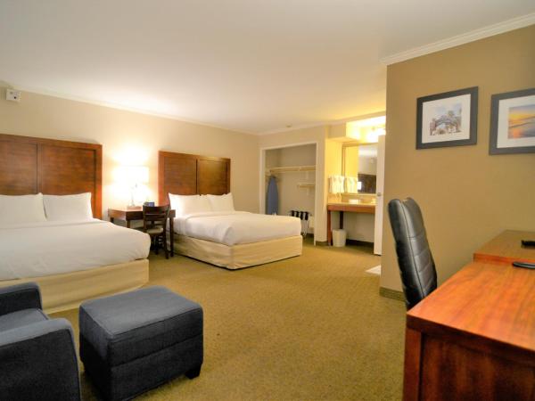 Comfort Inn Santa Monica - West Los Angeles : photo 1 de la chambre chambre standard pour personnes à mobilité réduite avec 2 lits queen-size et douche accessible en fauteuil roulant - non-fumeurs - vue sur cour