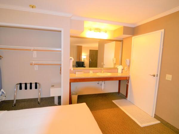 Comfort Inn Santa Monica - West Los Angeles : photo 2 de la chambre chambre standard pour personnes à mobilité réduite avec 2 lits queen-size et douche accessible en fauteuil roulant - non-fumeurs - vue sur cour