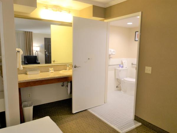 Comfort Inn Santa Monica - West Los Angeles : photo 4 de la chambre chambre standard pour personnes à mobilité réduite avec 2 lits queen-size et douche accessible en fauteuil roulant - non-fumeurs - vue sur cour