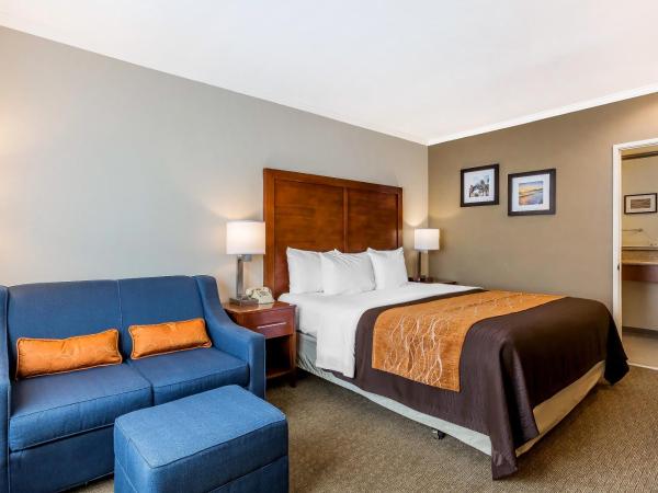 Comfort Inn Santa Monica - West Los Angeles : photo 6 de la chambre chambre lit king-size standard avec canapé-lit - non-fumeurs