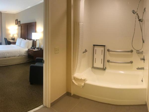 Comfort Inn Santa Monica - West Los Angeles : photo 3 de la chambre chambre standard avec lit queen-size et baignoire accessible aux personnes à mobilité réduite - non-fumeurs - vue sur cour