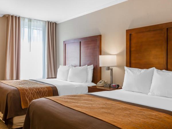 Comfort Inn Santa Monica - West Los Angeles : photo 4 de la chambre chambre standard 2 lits queen-size - non-fumeurs
