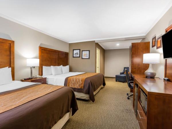 Comfort Inn Santa Monica - West Los Angeles : photo 4 de la chambre chambre standard avec lit king-size et lit queen-size - non-fumeurs