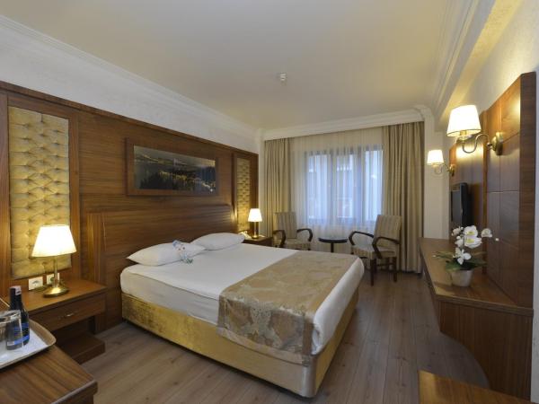 Hotel Yigitalp Istanbul : photo 1 de la chambre chambre double standard