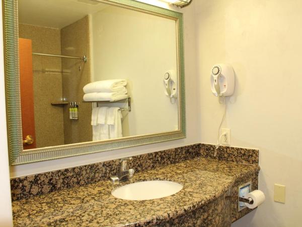 Holiday Inn Express Hotel & Suites Tucson Mall, an IHG Hotel : photo 2 de la chambre suite 1 chambre lit king-size