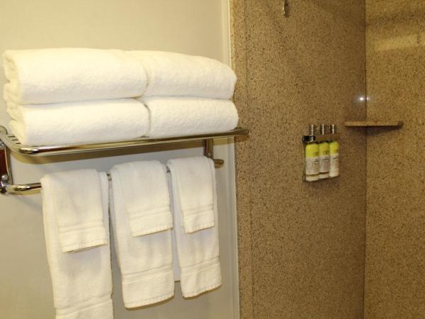 Holiday Inn Express Hotel & Suites Tucson Mall, an IHG Hotel : photo 1 de la chambre suite 1 chambre avec 2 lits queen-size