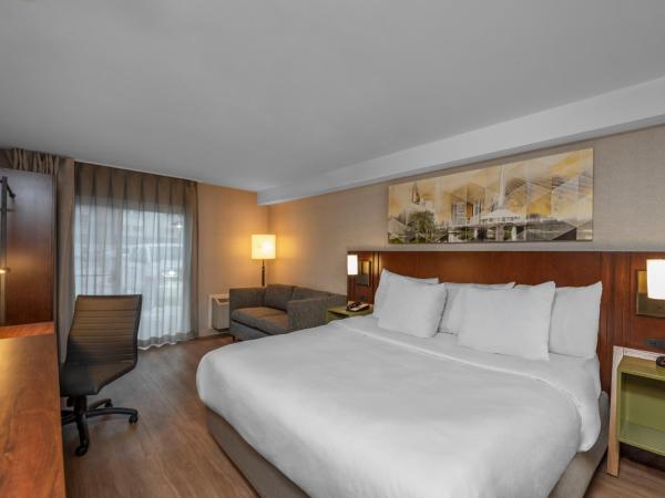 Comfort Inn Airport : photo 2 de la chambre chambre lit king-size standard
