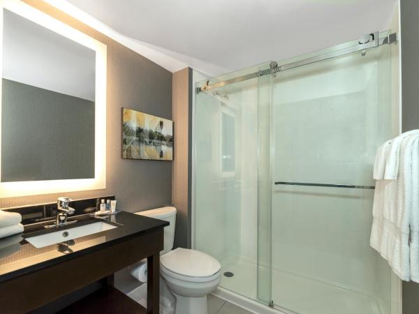Comfort Inn Airport : photo 3 de la chambre chambre lit king-size standard