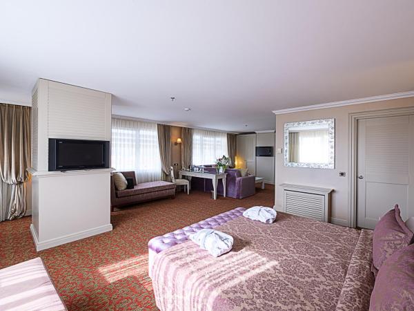 Dream Hill Business Deluxe Hotel Asia : photo 1 de la chambre suite