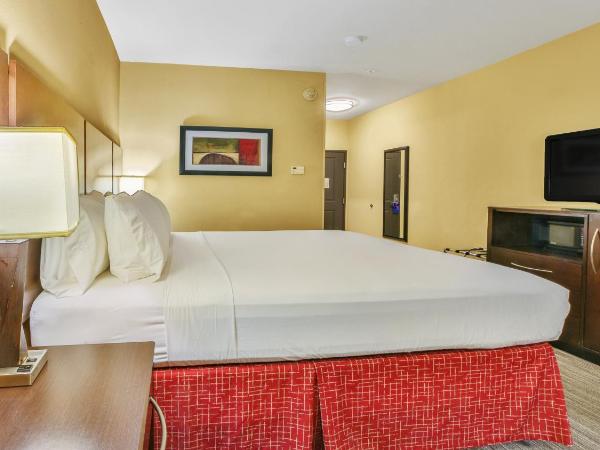 Holiday Inn Express & Suites Houston South - Near Pearland, an IHG Hotel : photo 6 de la chambre chambre standard