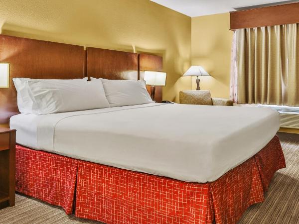 Holiday Inn Express & Suites Houston South - Near Pearland, an IHG Hotel : photo 5 de la chambre chambre standard