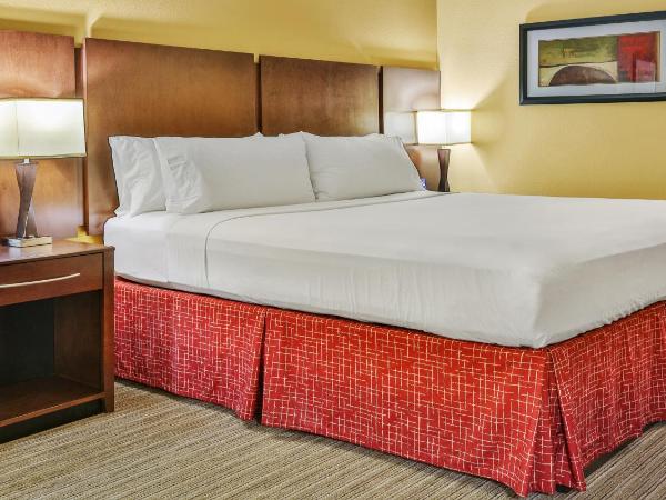 Holiday Inn Express & Suites Houston South - Near Pearland, an IHG Hotel : photo 3 de la chambre chambre standard